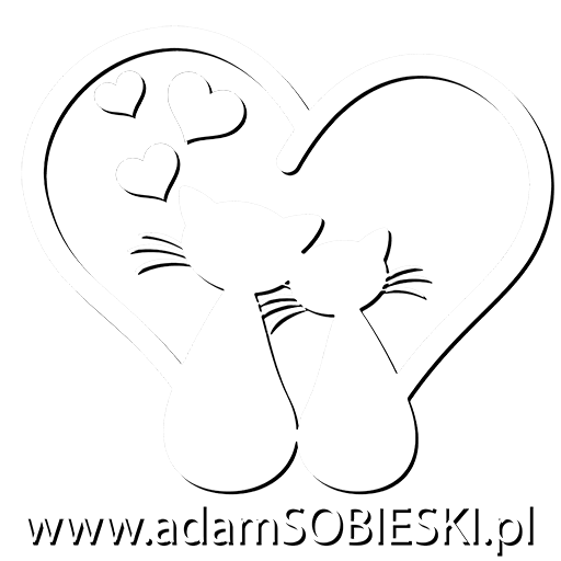 AdamSobieski.pl – Film i Fotografia Ślubna